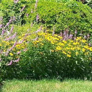 Meet your Posher, Paulie